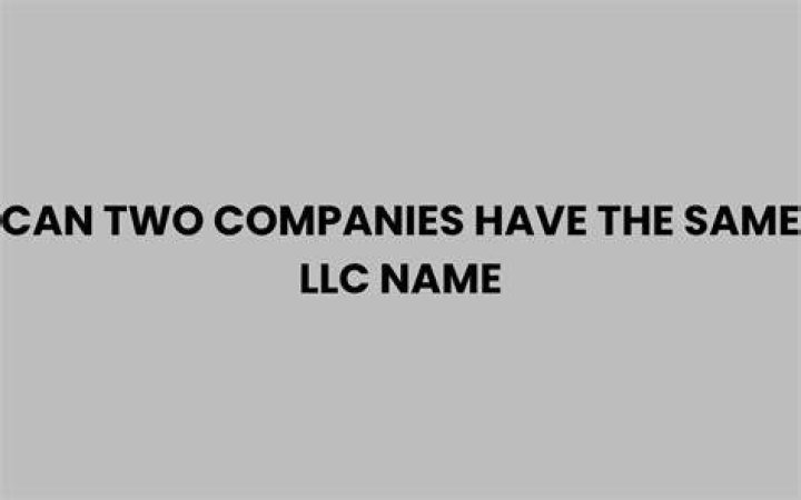Can you have two LLC companies?
