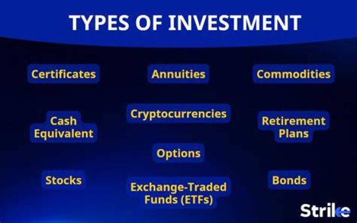 What are the 2 types of investment?